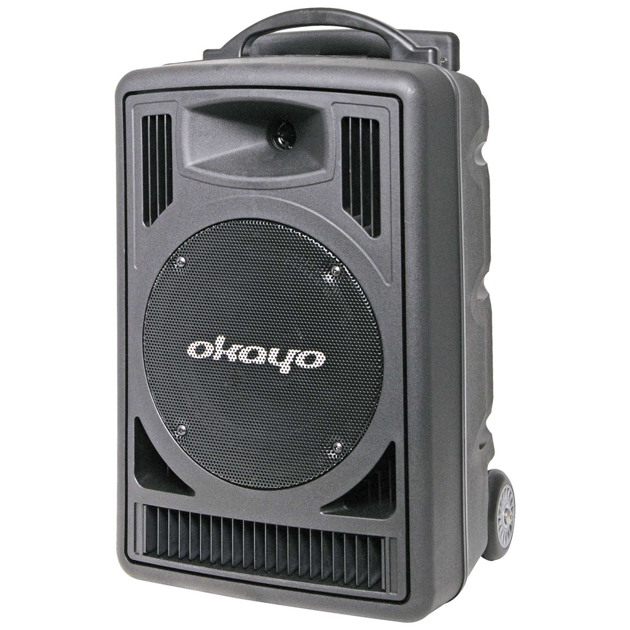 Okayo Portable PA System
